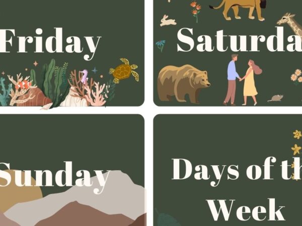 Days of the Week Cards - Image 2